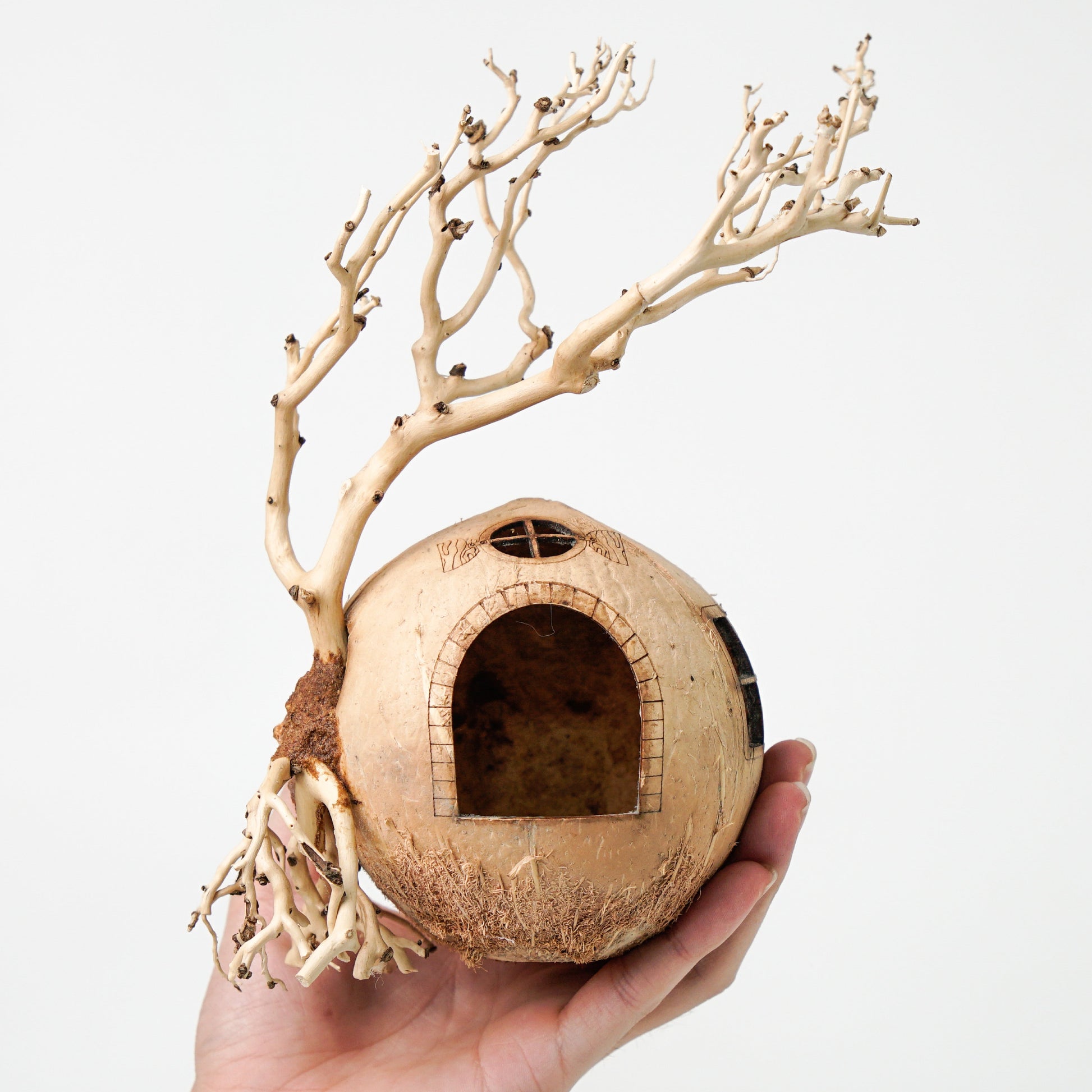 Coconut Shell Cave With Driftwood Bonsai Aquarium Cave, Fish Hide Cave, Cichlid Cave, Betta Fish Cave, Shrimp Cave, Cloves Cave, Aquarium Decoration