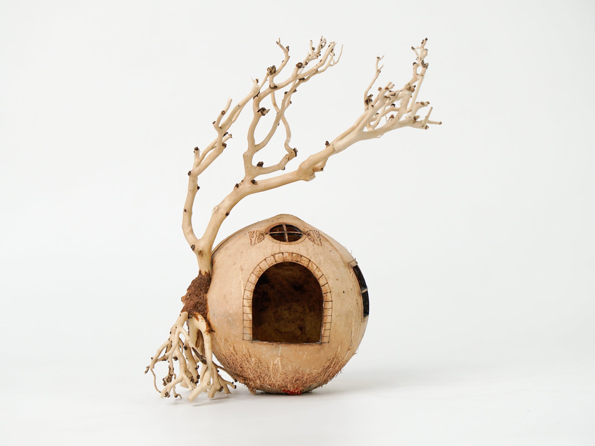 Coconut Shell Cave With Driftwood Bonsai Aquarium Cave, Fish Hide Cave, Cichlid Cave, Betta Fish Cave, Shrimp Cave, Cloves Cave, Aquarium Decoration
