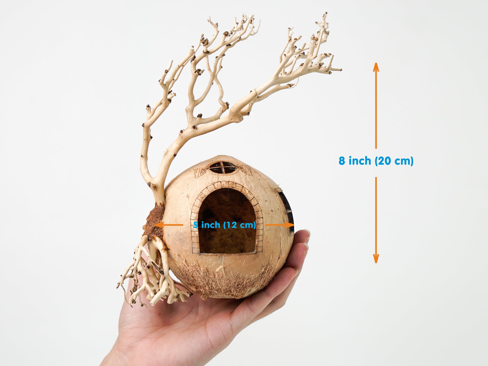 Coconut Shell Cave With Driftwood Bonsai Aquarium Cave, Fish Hide Cave, Cichlid Cave, Betta Fish Cave, Shrimp Cave, Cloves Cave, Aquarium Decoration
