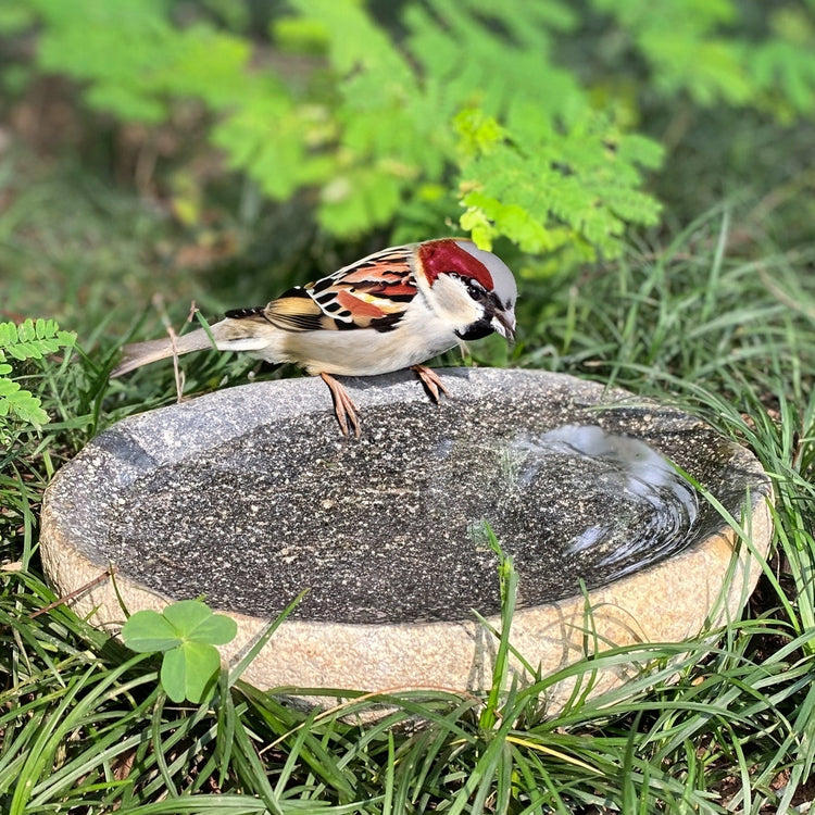 Handcrafted Natural River stone Bird Bath for Balcony, Patio, Natural River Stone Bowl Polished Inside, Garden or Yard by Dovaart.com