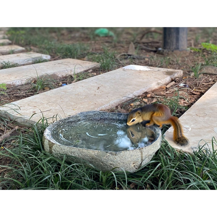 Handcrafted Natural River stone Bird Bath for Balcony, Patio, Natural River Stone Bowl Polished Inside, Garden or Yard by Dovaart.com