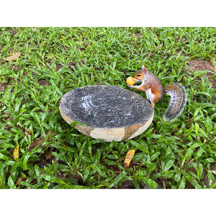 Handcrafted Natural River stone Bird Bath for Balcony, Patio, Natural River Stone Bowl Polished Inside, Garden or Yard by Dovaart.com