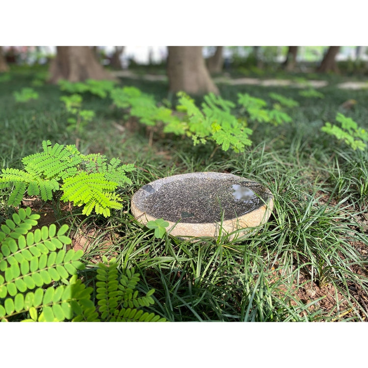 Handcrafted Natural River stone Bird Bath for Balcony, Patio, Natural River Stone Bowl Polished Inside, Garden or Yard by Dovaart.com
