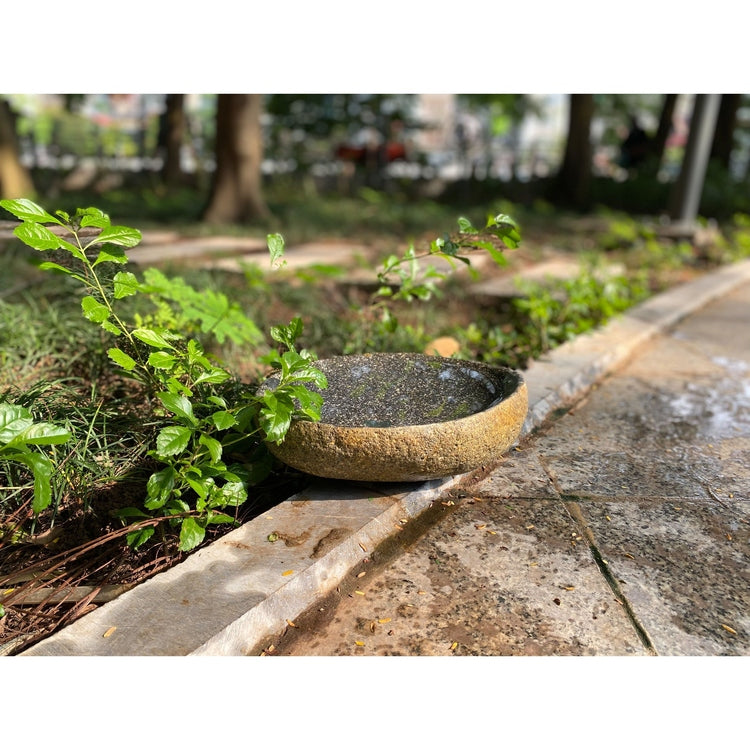 Handcrafted Natural River stone Bird Bath for Balcony, Patio, Natural River Stone Bowl Polished Inside, Garden or Yard by Dovaart.com
